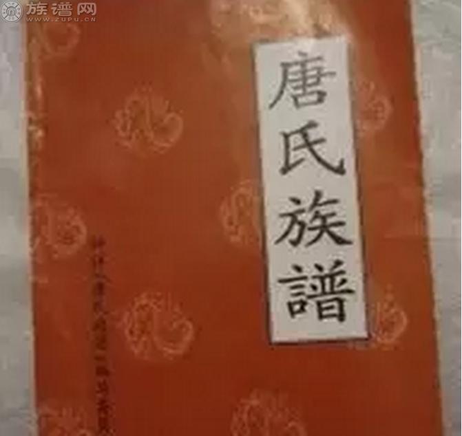 唐氏家族简介