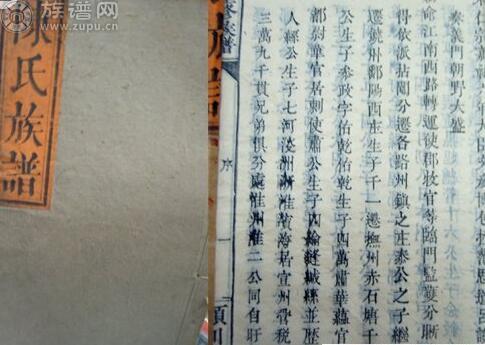  族谱罗列一组陈氏“最新字辈”搜集