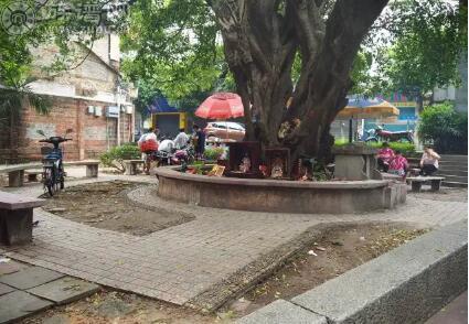 族谱网——夏街古村中榕树庞的黎氏宗祠