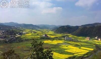 族谱网—— “耕读为本，道德齐家”王氏家族家训