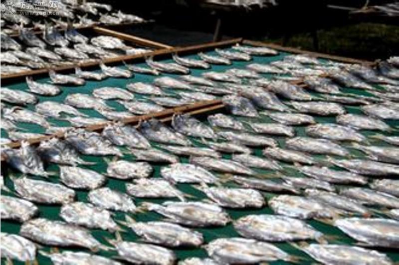 带您了解我们张氏干鱼是怎么做成的