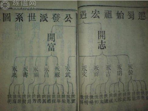 家谱有四种基本的记述格式：欧式、苏式、宝塔式和牒记式。 