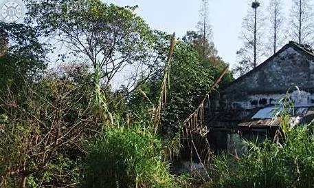 书香世家的沈氏家族对文化的贡献很大