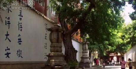 海峡移民家谱展览将亮相马来西亚