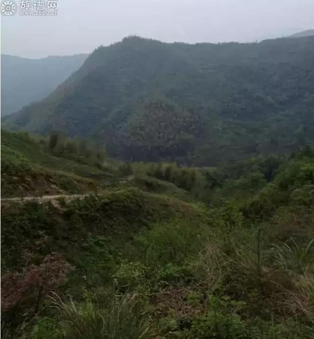 龙王山地的“天官坟“”埋葬着一位施姓大清官