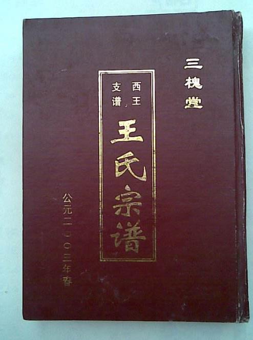 三槐堂王氏真是人才辈出王氏家族的骄傲