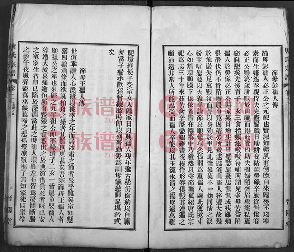 唐氏宗谱, 2, 1401-9第2本 - 唐氏堂号字辈查阅 - 族谱网