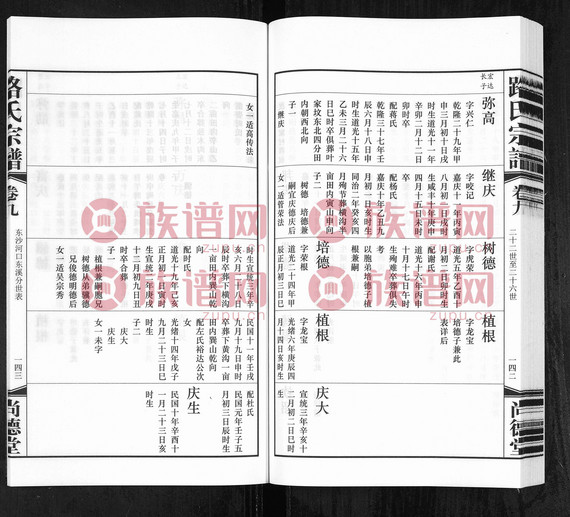 9路氏宗谱9卷9湖沙灌塘分世表通判17世珮公起2014第10本