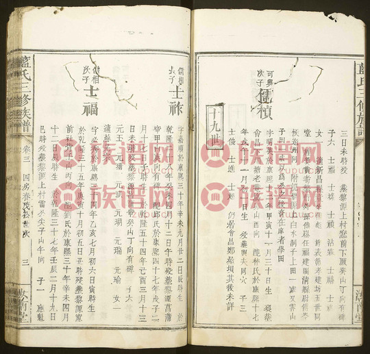 汝南堂蓝氏三修族谱, 3, 卷3, 四房_ 盛公 16世春茂公起, 1849第11本