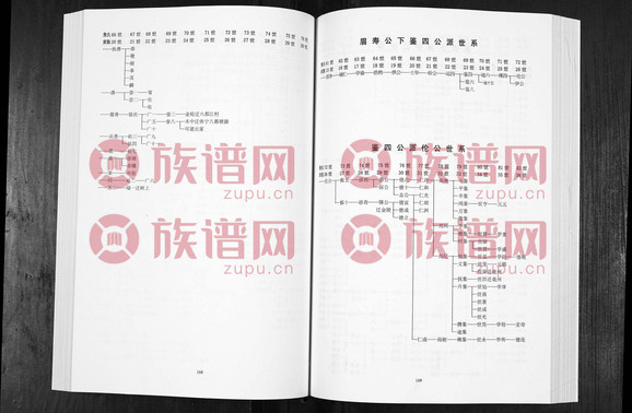 中华詹氏71370–2015第8本