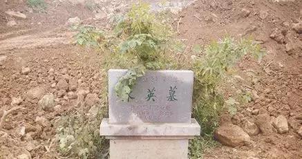 云南沐氏家族手握重兵历经明朝二百八十年不倒,只因一条家训!