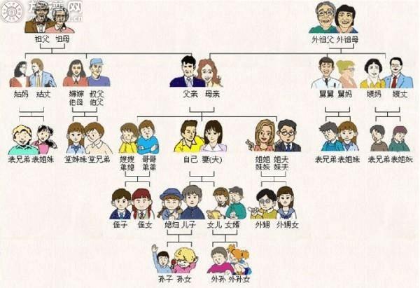 再也不会叫错了，我国最为完整的亲戚关系称谓【中】