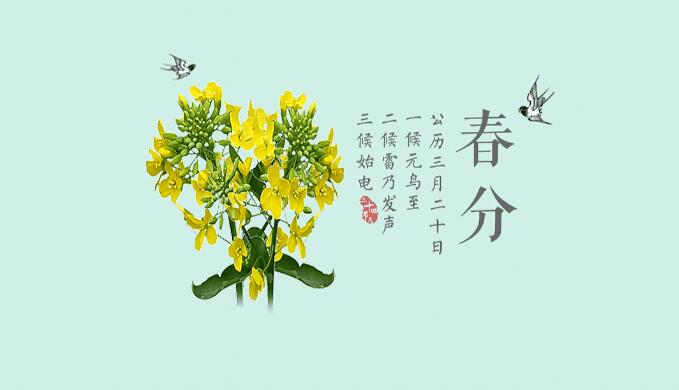 二十四节气之——春分