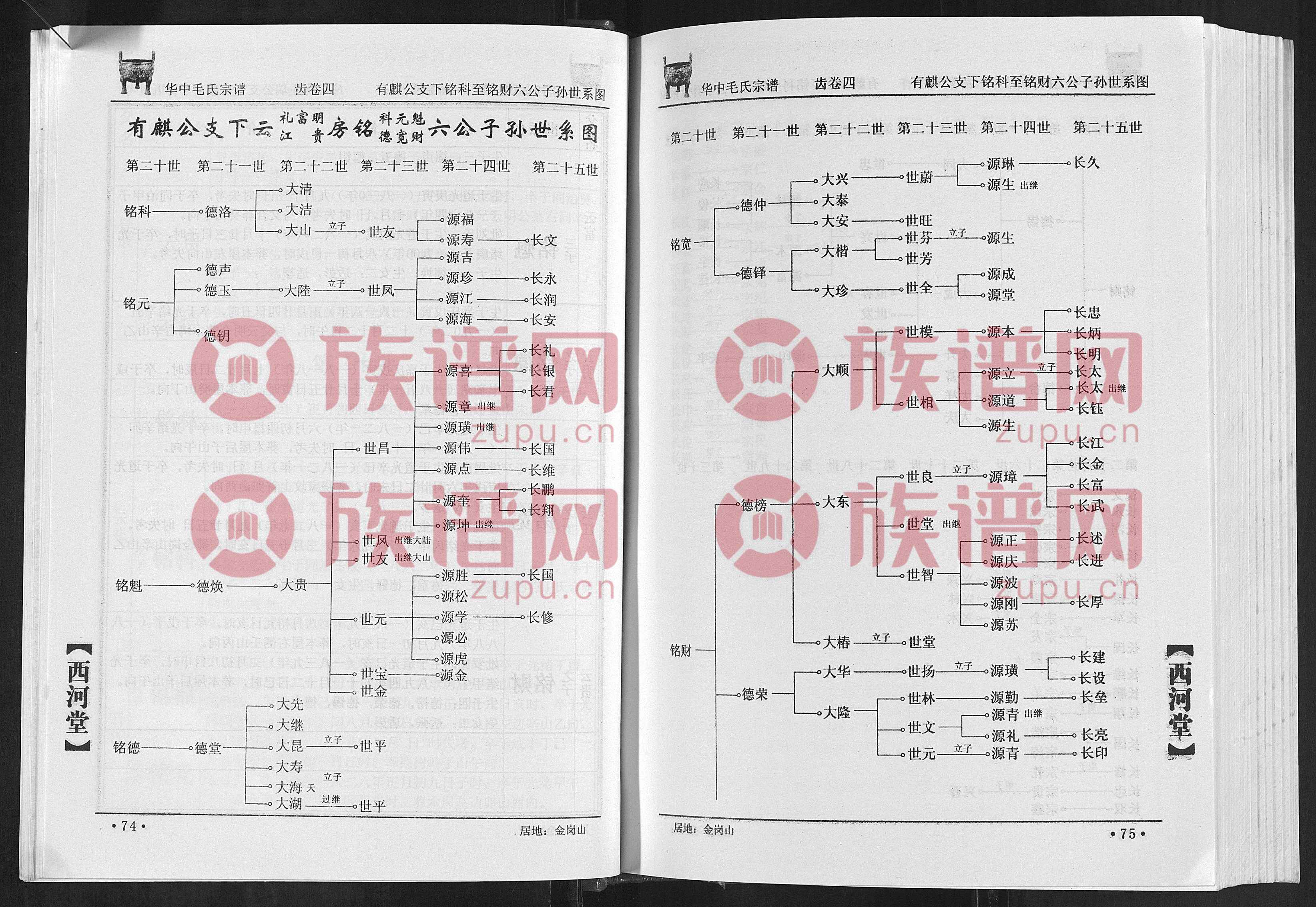 毛氏家谱世系图图片