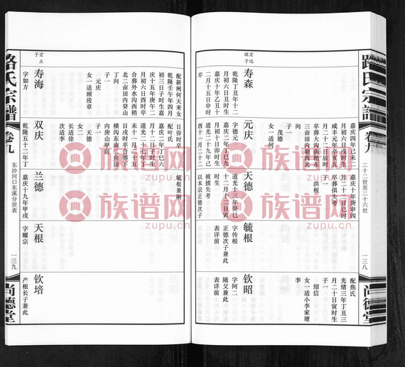 9路氏宗谱9卷9湖沙灌塘分世表通判17世珮公起2014第10本