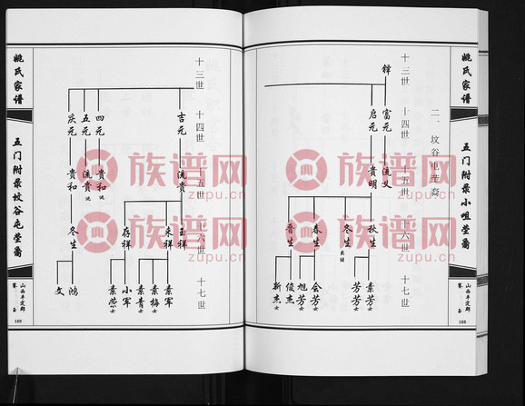 1姚氏家谱115742005